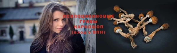 молекула духа Гусь-Хрустальный
