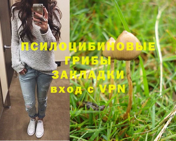 каннабис Гусев